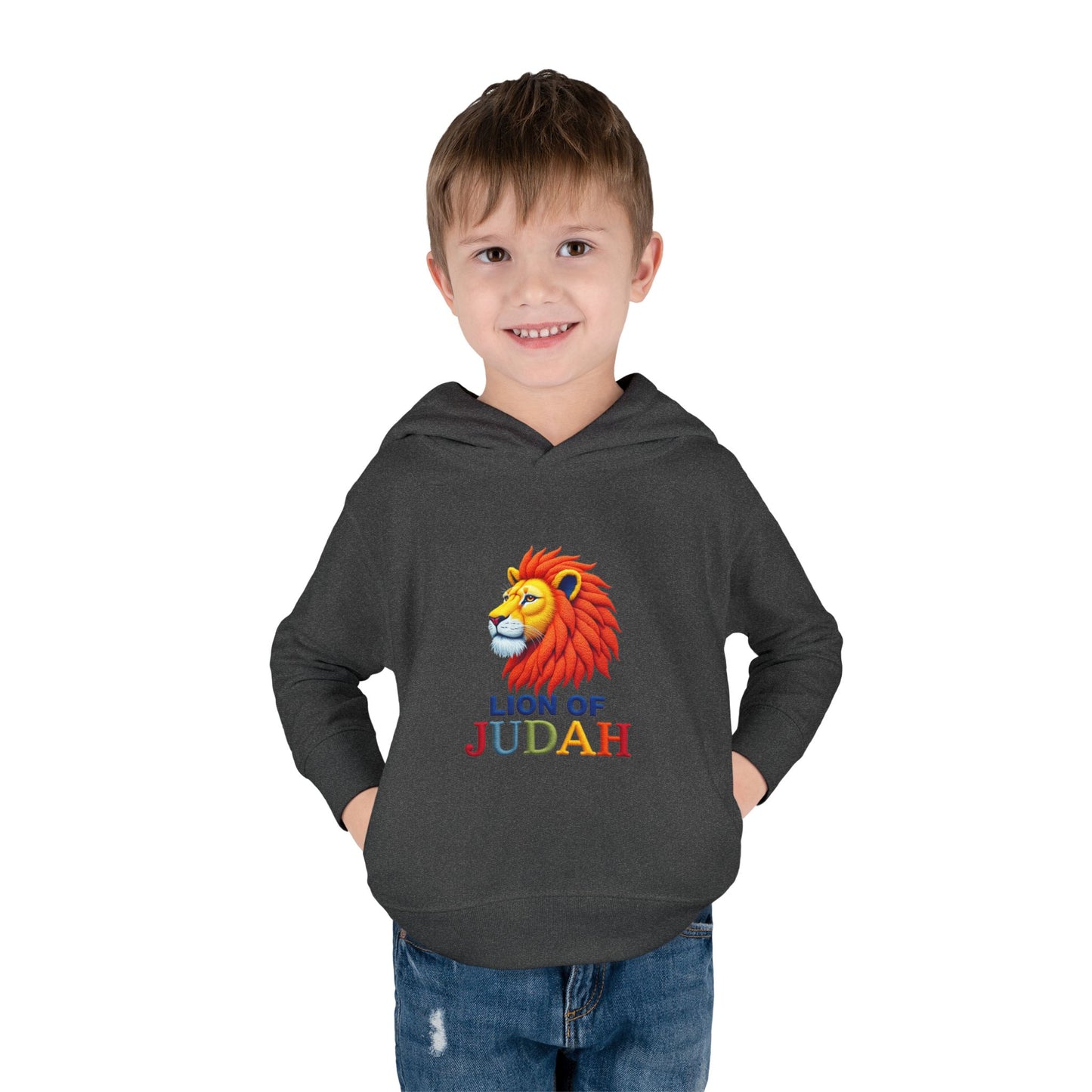 Lion of Judah Toddler Hoodie — Christian Kids Pullover with Colorful Lion Graphic