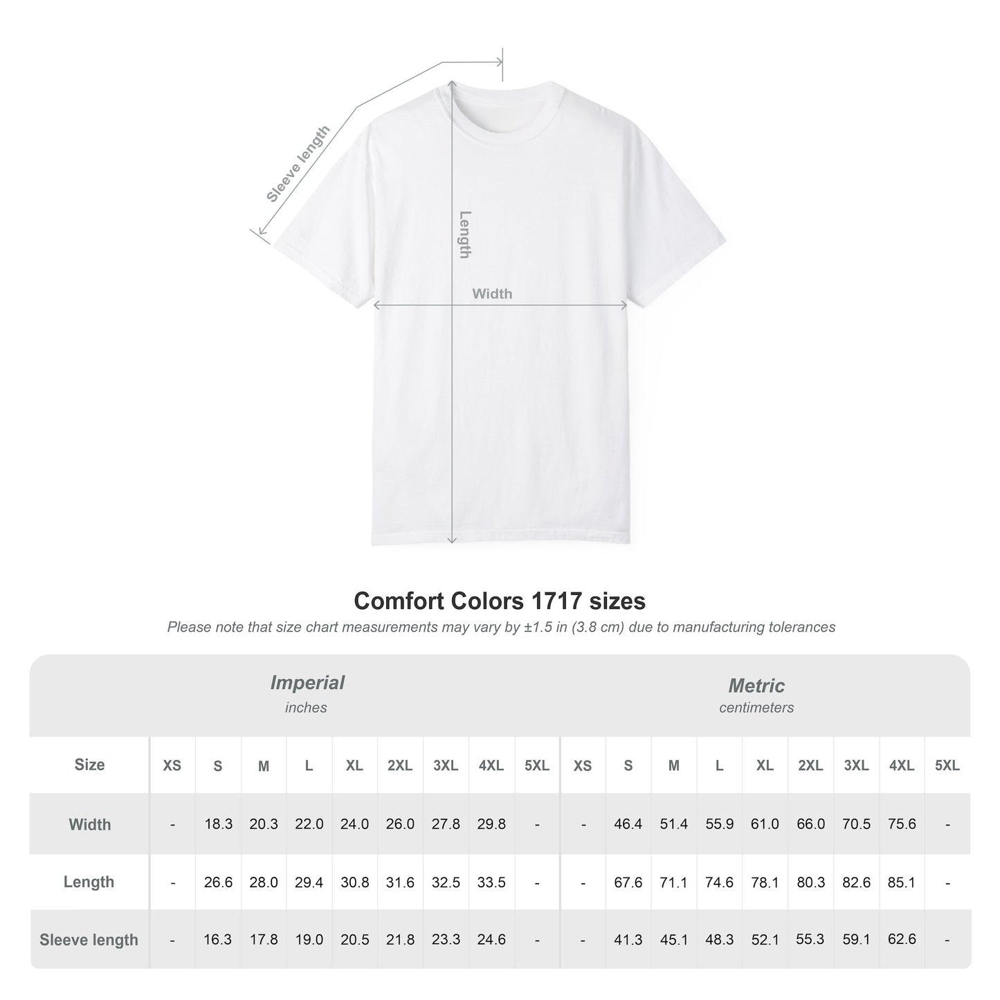 Garment-Dyed Statement Tee — Bold Single-Word Typographic Front