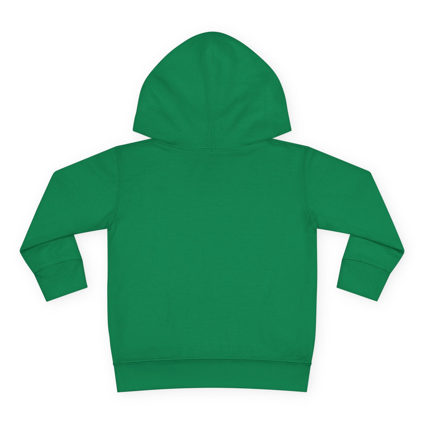Lion of Judah Toddler Hoodie — Christian Kids Pullover with Colorful Lion Graphic
