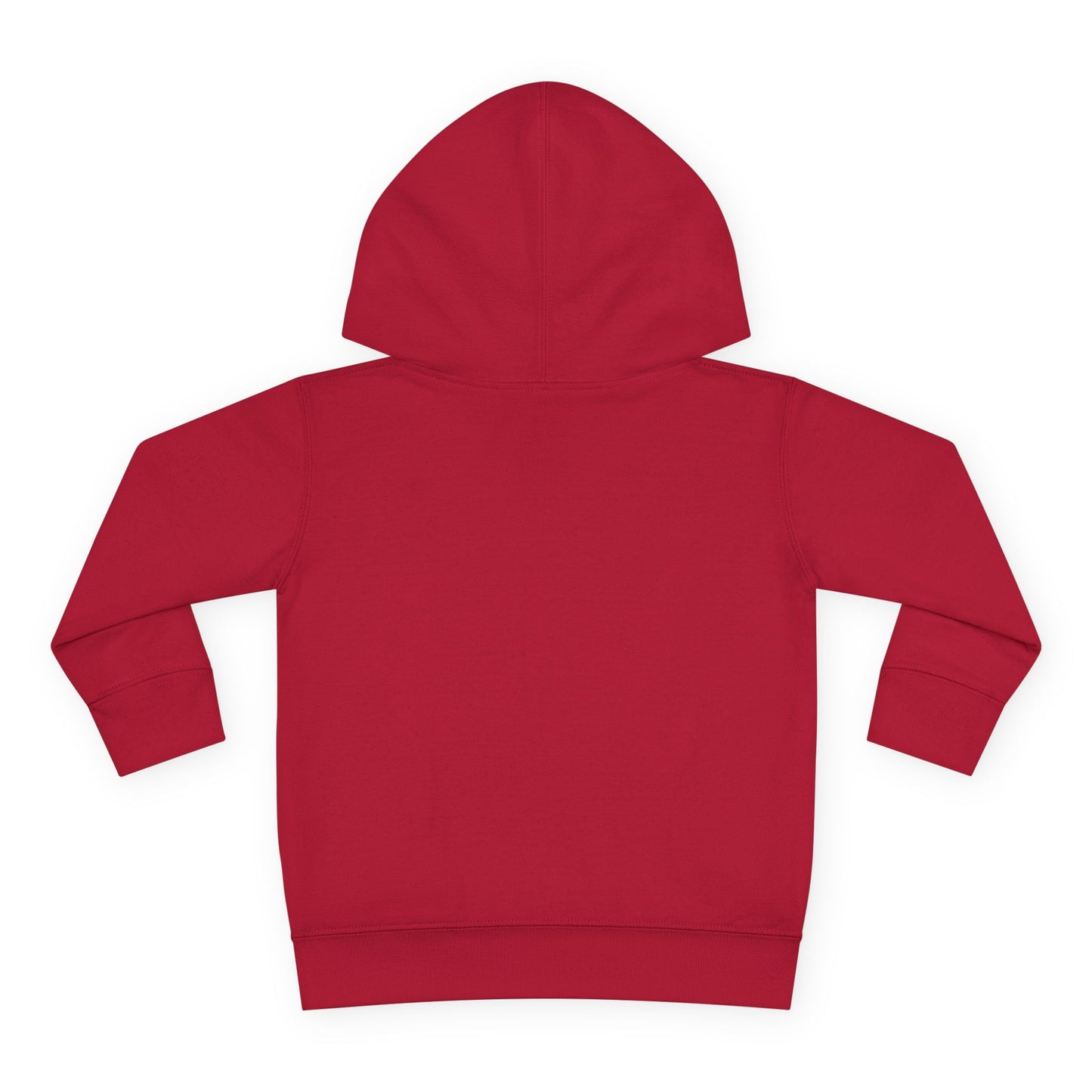 Lion of Judah Toddler Hoodie — Christian Kids Pullover with Colorful Lion Graphic