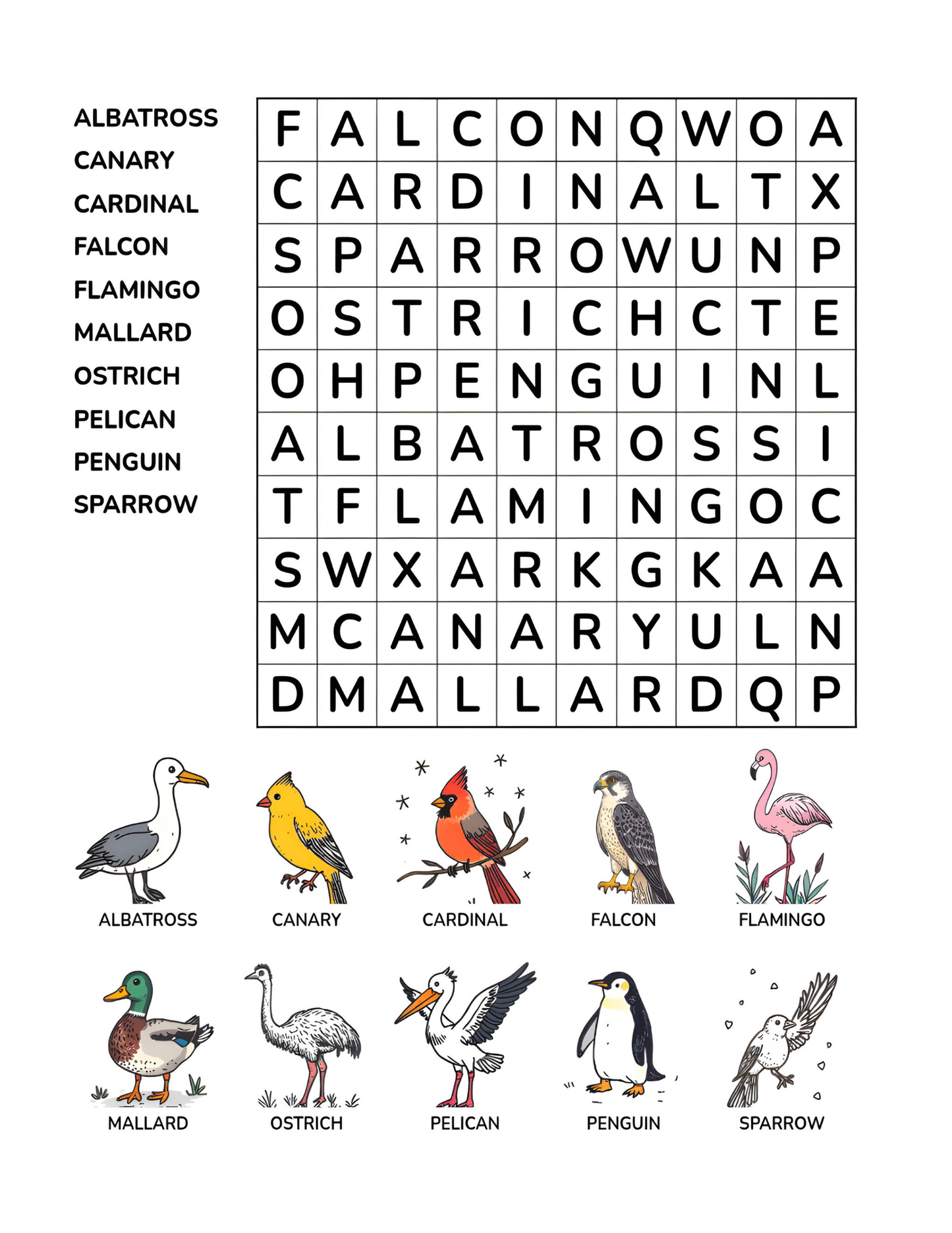 BIRD KINGDOM WORD SEARCH PUZZLE BOOK FOR KIDS: Challenge Your Brain and Have Fun | Ebook 8.5 X 11 Digital Download