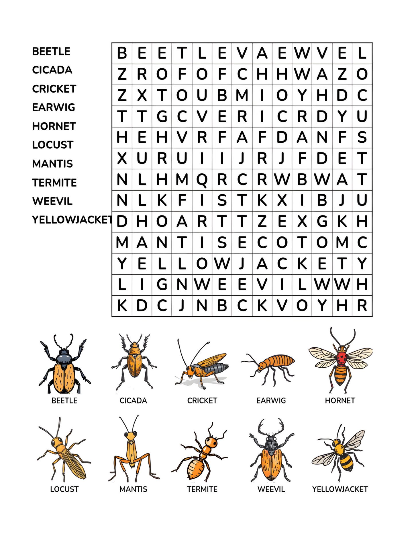 Insect Adventure Word Search Puzzle for Kids 64 Pages 8.5 x 11 Digital Download