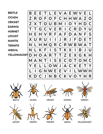 Insect Adventure Word Search Puzzle for Kids 64 Pages 8.5 x 11 Digital Download