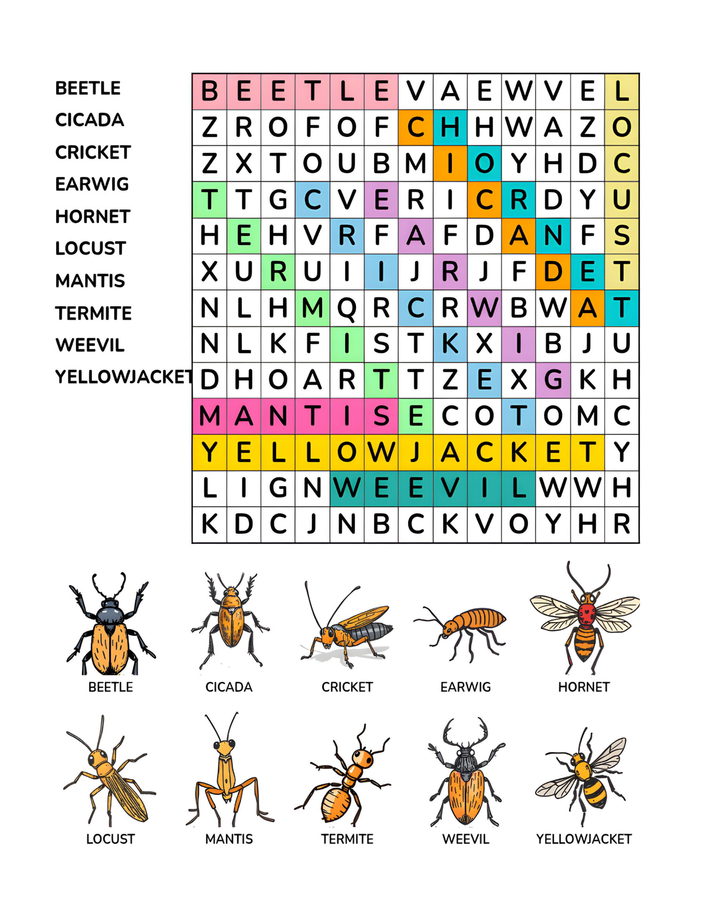 Insect Adventure Word Search Puzzle for Kids 64 Pages 8.5 x 11 Digital Download