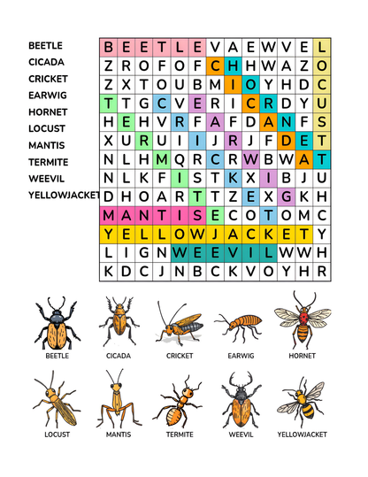 Insect Adventure Word Search Puzzle for Kids 64 Pages 8.5 x 11 Digital Download