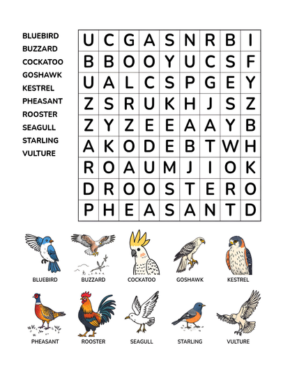 BIRD KINGDOM WORD SEARCH PUZZLE BOOK FOR KIDS: Challenge Your Brain and Have Fun | Ebook 8.5 X 11 Digital Download