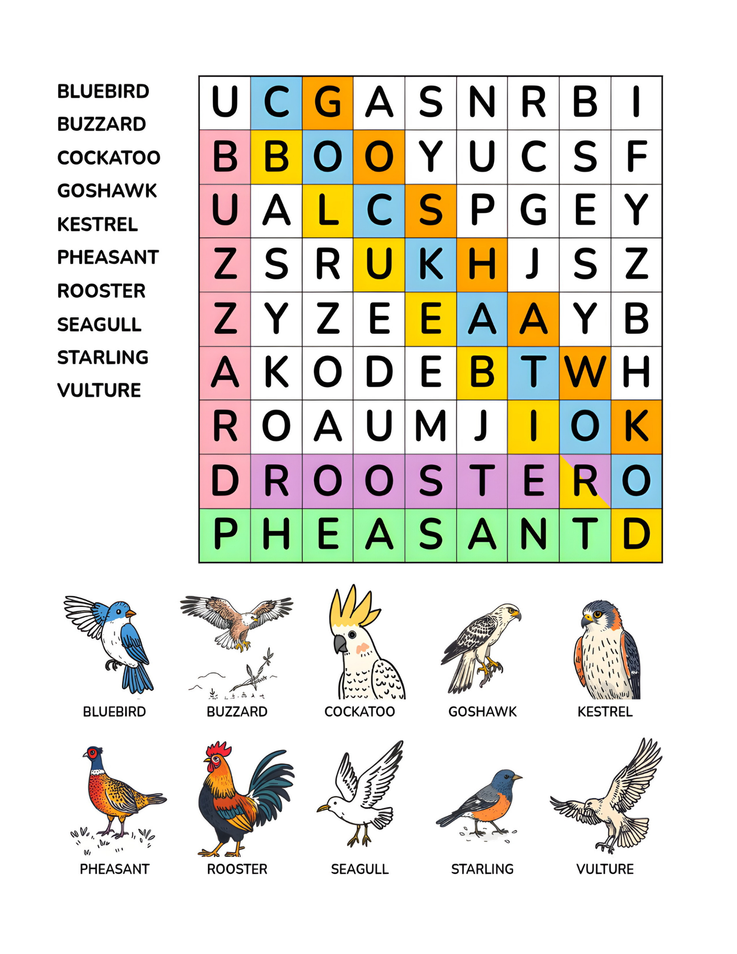 BIRD KINGDOM WORD SEARCH PUZZLE BOOK FOR KIDS: Challenge Your Brain and Have Fun | Ebook 8.5 X 11 Digital Download