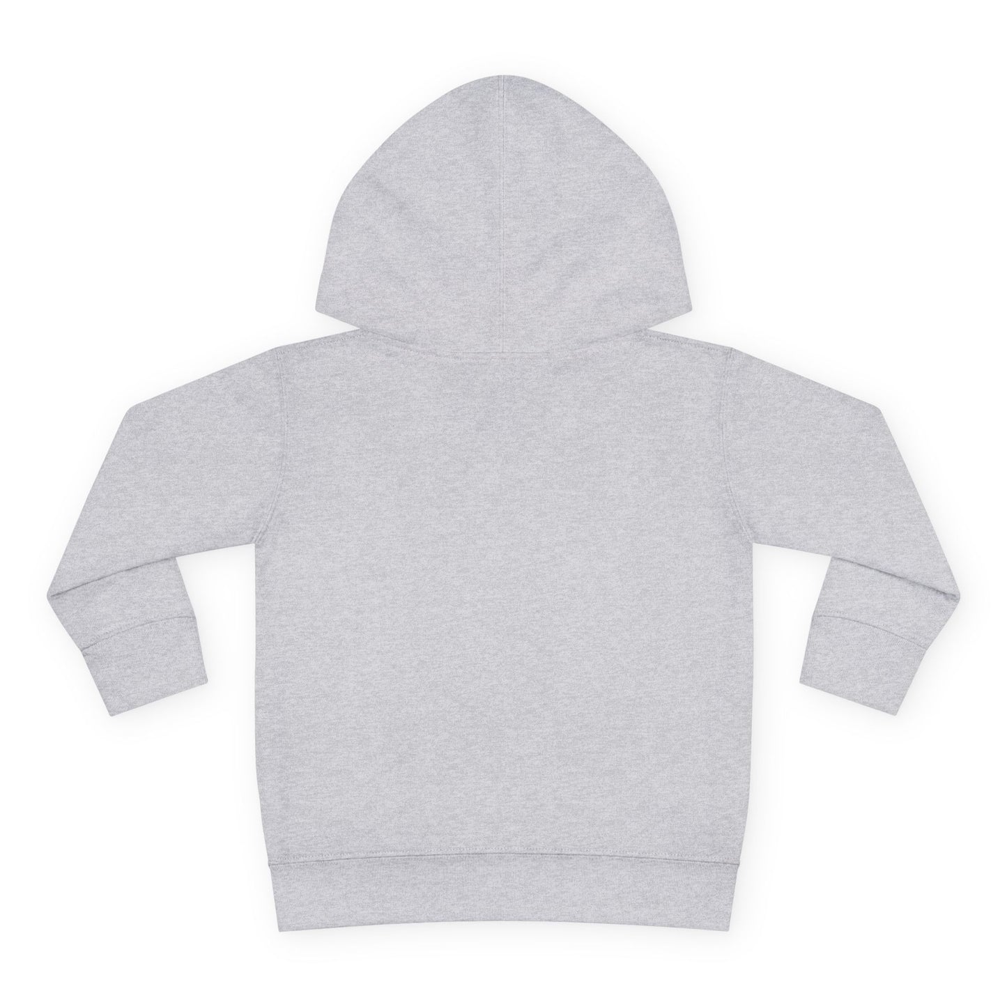 Toddler Hoodie — Colorful Peace Dove with Olive Branch & “PEACE Genesis 9:13”